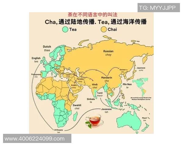咖啡文化的多样性与创新发展探索从经典咖啡到现代创意饮品的融合之旅