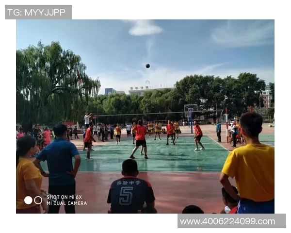 武汉排球队最新排球意识排名第一引领潮流TOP10解析