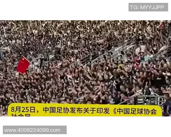 足协改革与发展：推动中国足球整体提升与国际化进程的战略思考